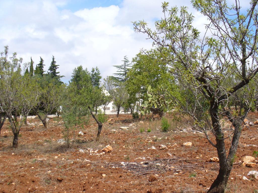 Villa Trullo Riccardo à Ostuni Chambre photo