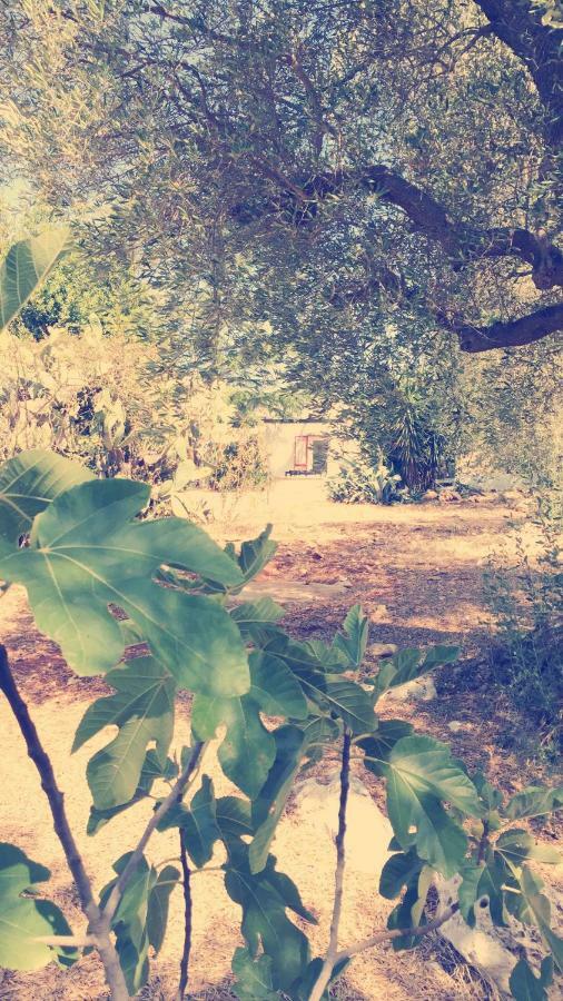 Villa Trullo Riccardo à Ostuni Extérieur photo