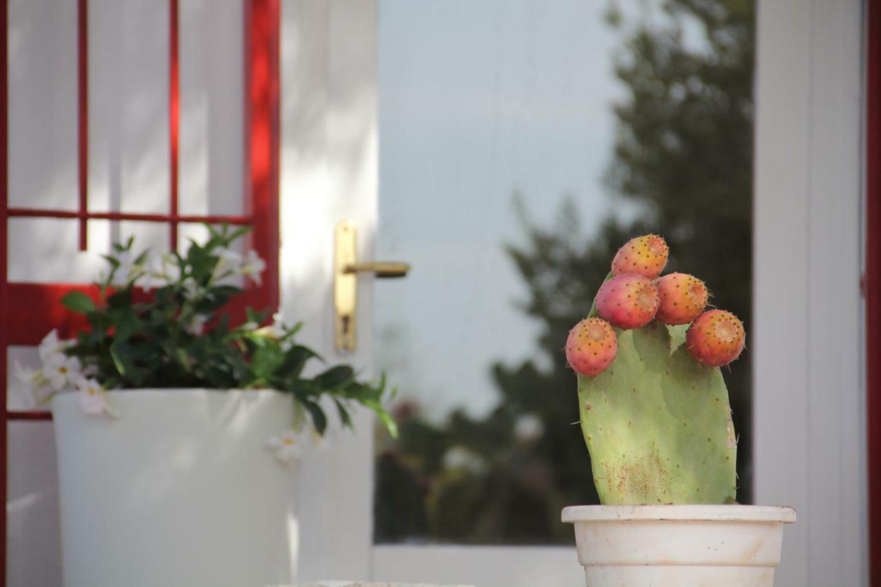 Villa Trullo Riccardo à Ostuni Extérieur photo