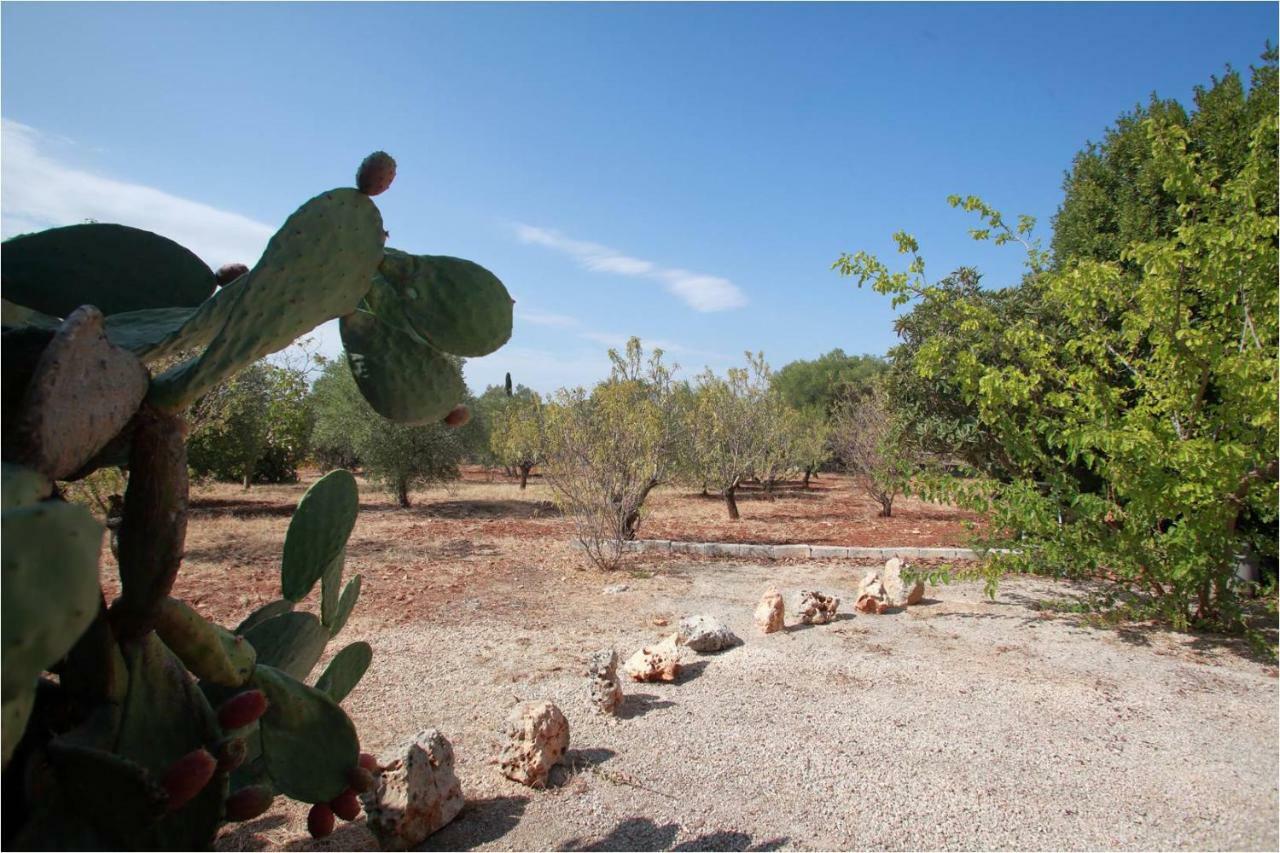 Villa Trullo Riccardo à Ostuni Extérieur photo